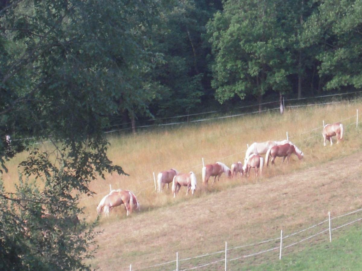 Haflingerhof Luef Villa Bad Schönau Exterior foto