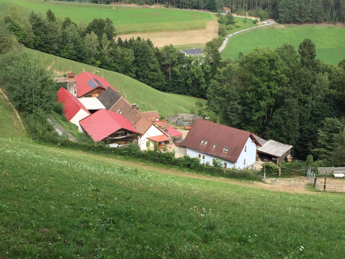 Haflingerhof Luef Villa Bad Schönau Exterior foto