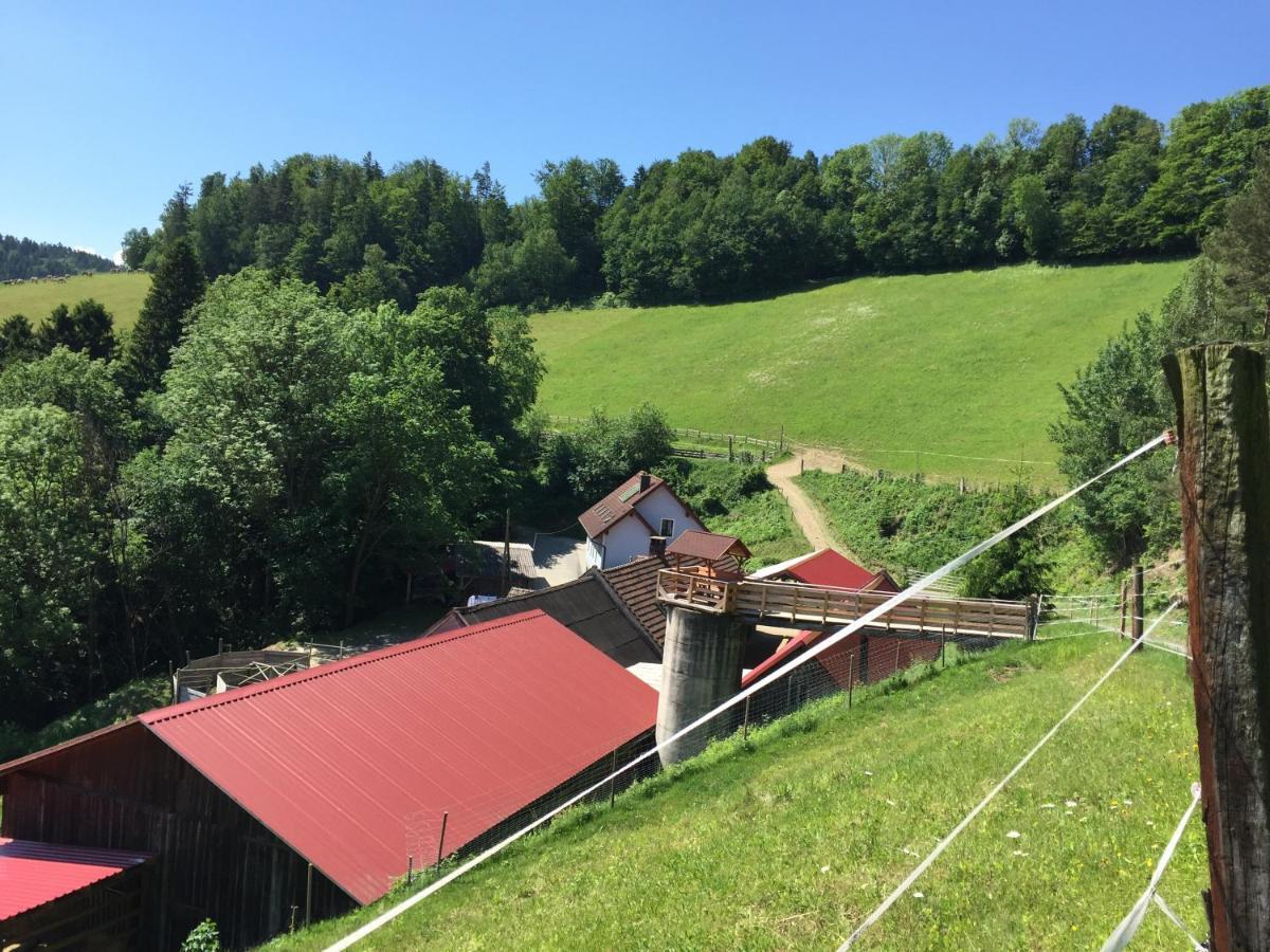 Haflingerhof Luef Villa Bad Schönau Exterior foto