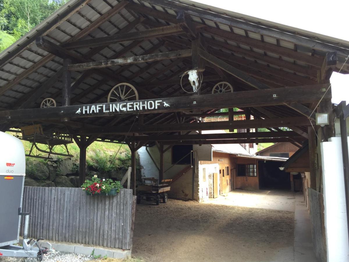 Haflingerhof Luef Villa Bad Schönau Exterior foto